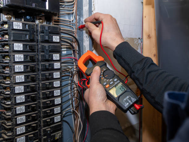 Best Local Electrician Companies  in La Plata, NM